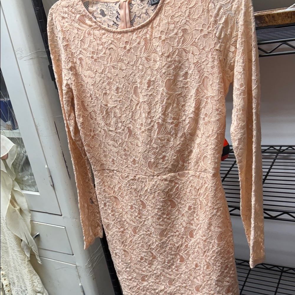 Forever 21 Peach Lace Long Sleeve Dress